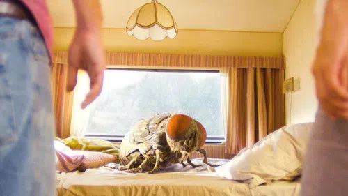 Mandibules izle