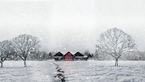 Snow Falls izle afişi