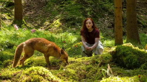 Ein Mädchen namens Willow izle afişi