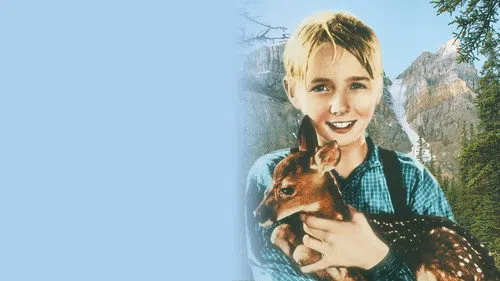 The Yearling izle