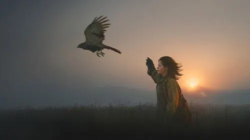 H Is for Hawk izle