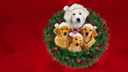Noel Patileri izle