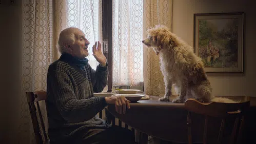 Trüf Avcıları izle afişi