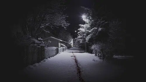 The Valhalla Murders izle