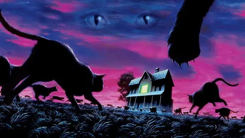Dönüşüm izle