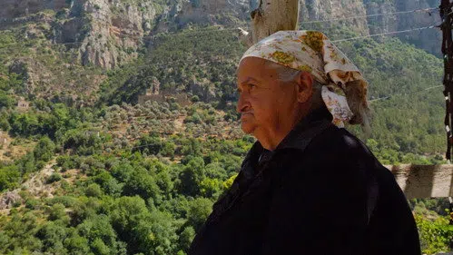 Yara izle afişi