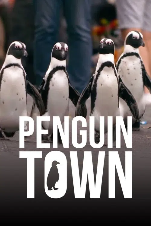 Penguen Kolonisi