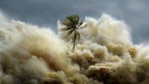 Tsunami: Kıyamet Dalgaları izle