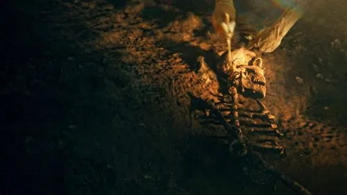 Neandertallerin Sırları izle