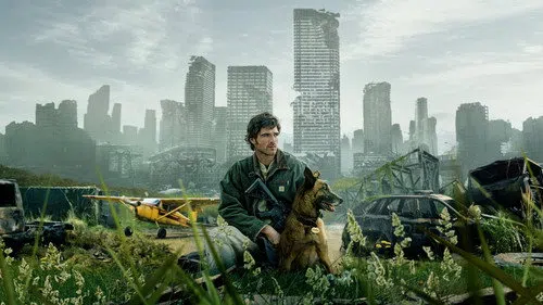 Köpek ve Yıldızlar izle