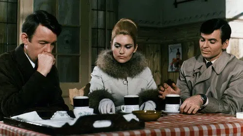 The Champions izle afişi