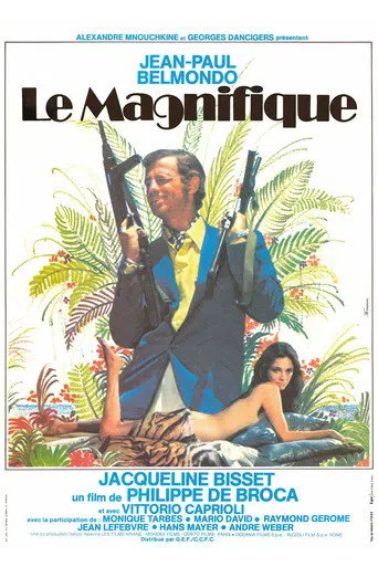 Le Magnifique