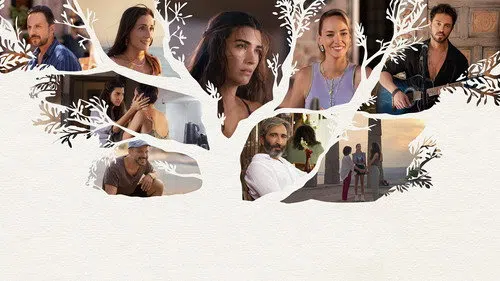 Zeytin Ağacı izle
