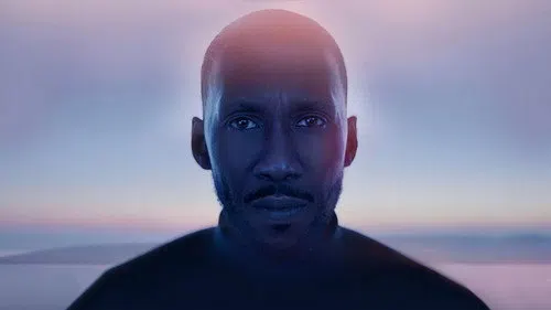 Kuğu Şarkısı izle