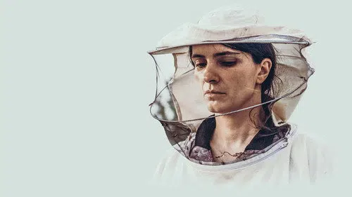 Kovan izle afişi