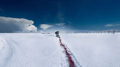 Fargo izle