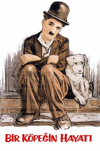 Bir Köpeğin Hayatı