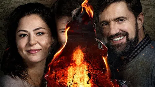 Stray izle afişi