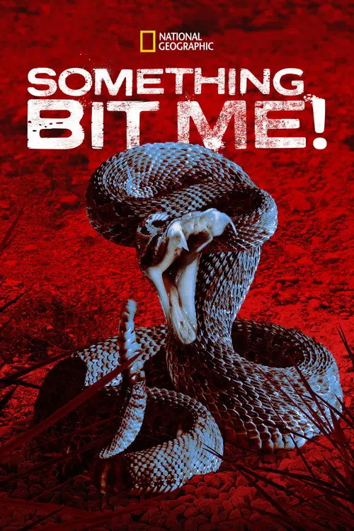 Beni Bir Şey Isırdı!