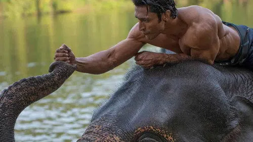Junglee izle afişi