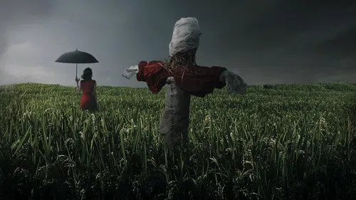 Cinayet Günlüğü izle