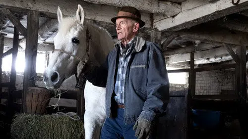 Düşüş izle afişi