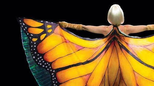 The Butterfly Tree izle afişi