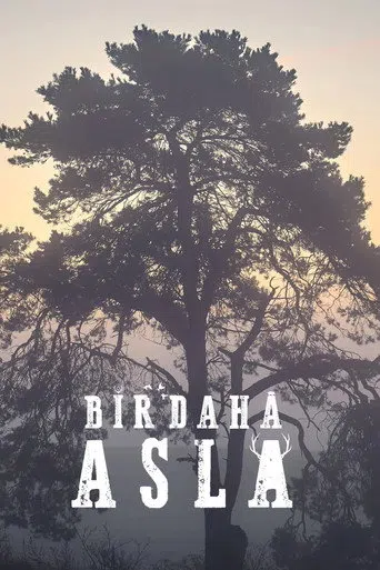 Bir Daha Asla