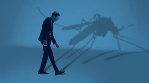 Mosquito State izle afişi