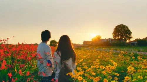 The Hows of Us izle afişi