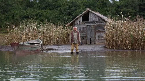Mısır Adası izle