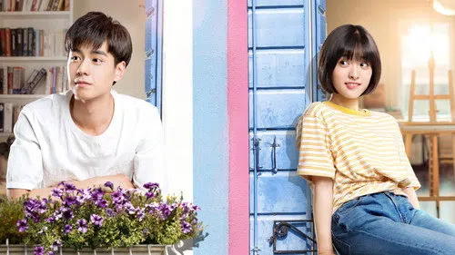 A Love So Beautiful izle afişi