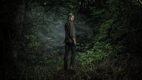 The Forest izle afişi