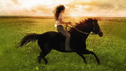 Flicka izle