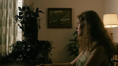 Pollen izle afişi