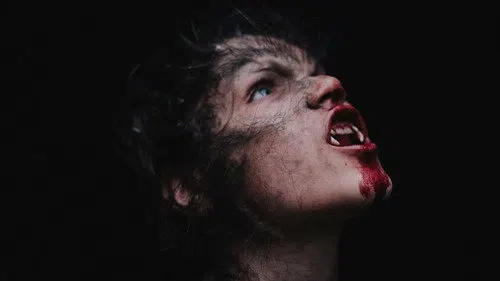 Wolfkin izle afişi