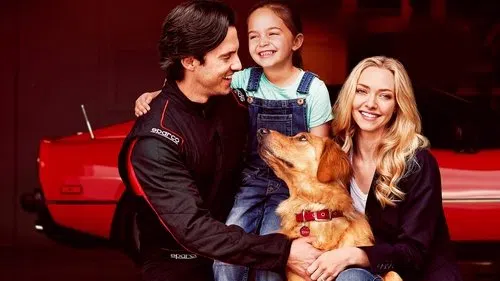Enzo: Yağmurda Yarış Sanatı izle afişi