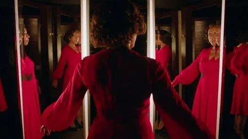 In Fabric izle afişi