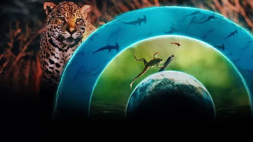 Hayat Dolu Dünyamız izle