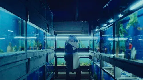 Anımsa izle