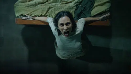 Cerita Lila izle