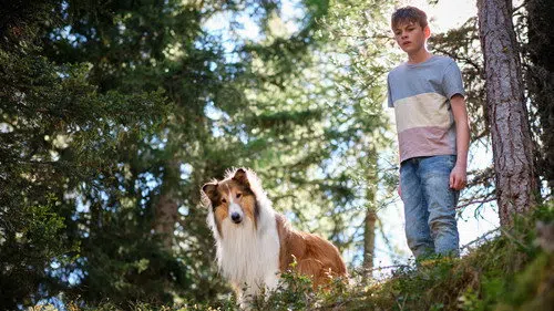 Lassie: Yepyeni Bir Macera izle afişi