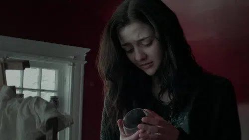 The Dark Stranger izle afişi