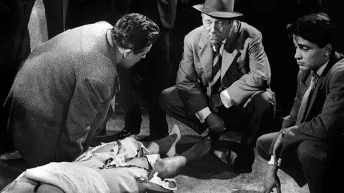Maigret tend un piège izle afişi