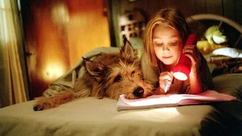 Sevgili Köpeğim izle