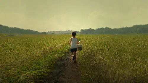 Tigertail izle