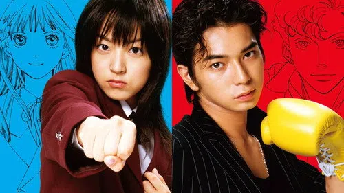 BOYS OVER FLOWERS izle afişi