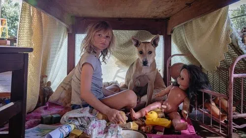 Bu Gece Köpeklere Gitmeyelim izle afişi