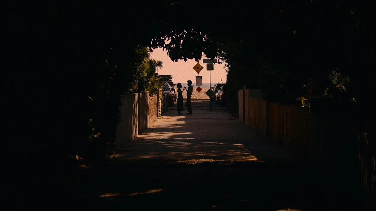 She Taught Love izle afişi