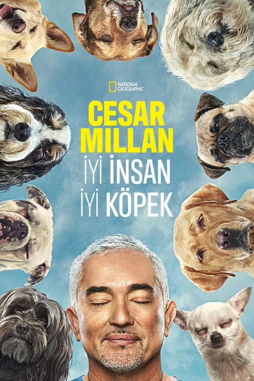 Cesar Millan: Better Human, Better Dog
